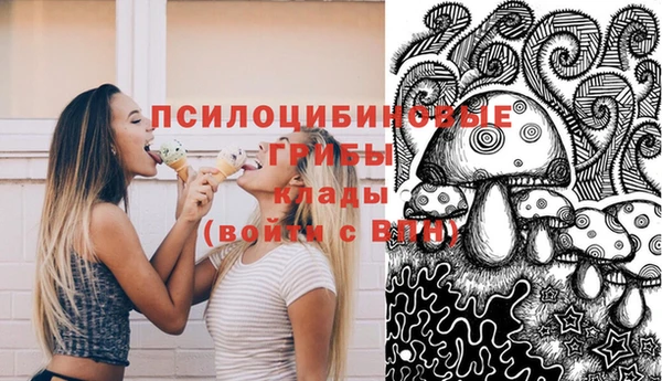 ешки Анжеро-Судженск